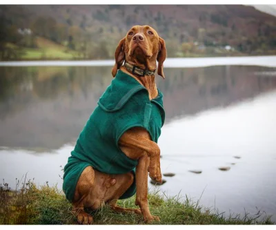 Peignoir de chien en plein air merveilleux Logo personnalisé Robe de séchage en microfibre pour manteau de serviette de chien à effet Super Absorption